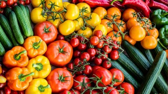 Harvest House maakt klimaatneutraal gecertificeerde vruchtgroenten mogelijk