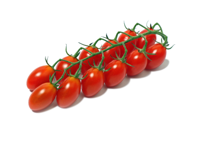 Mini plum vine tomatoes