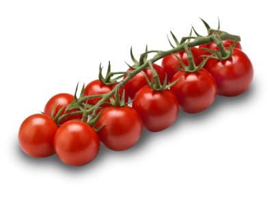 Cherry vine tomatoes BIO