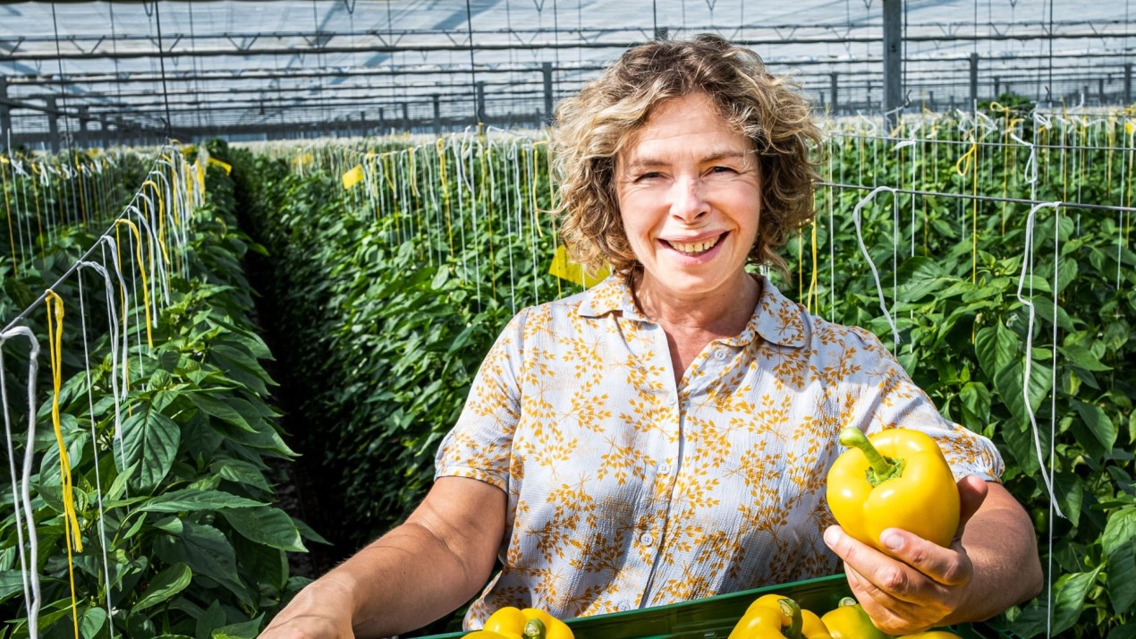 Will you join Harvest House?