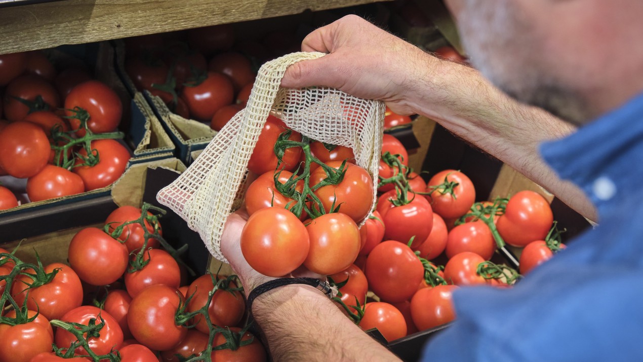 Werken bij The Flavour Farm International