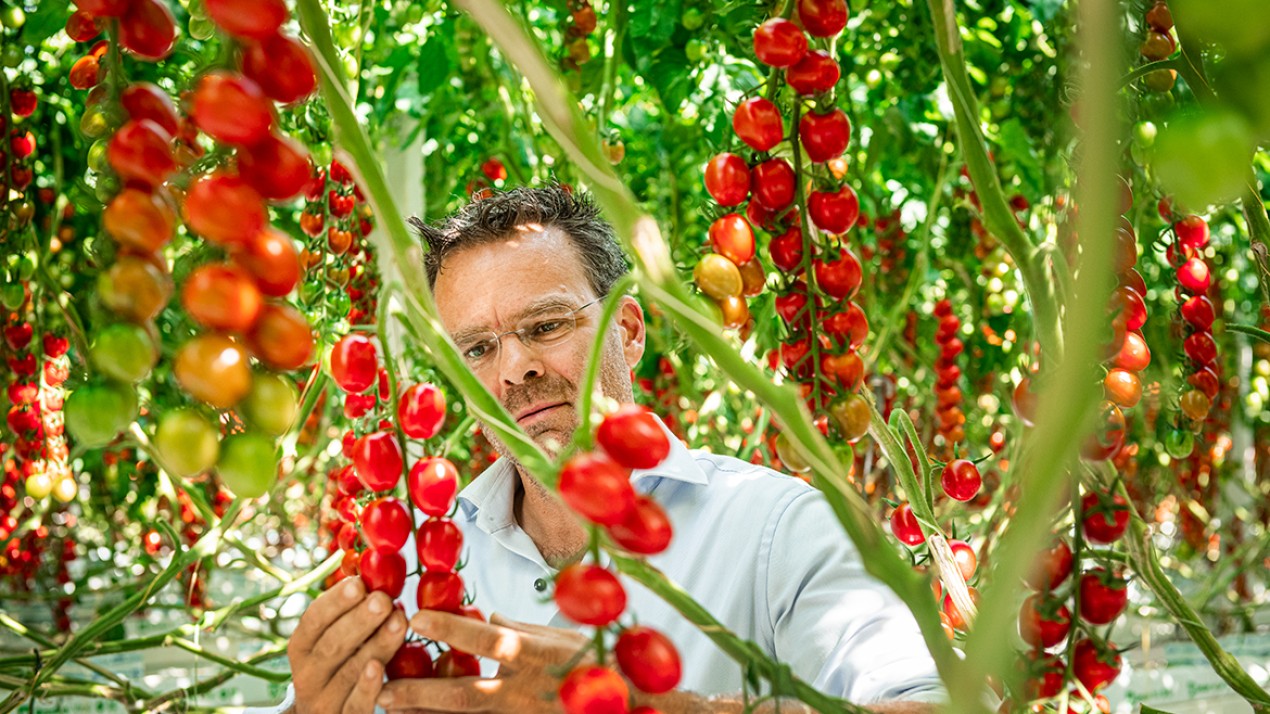 Möchten Sie sich Harvest House anschließen?