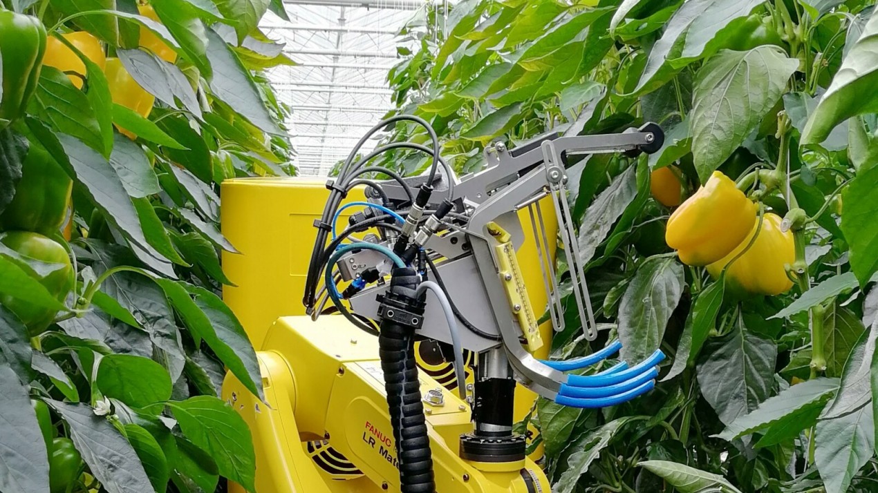 Einsatz von Robotern