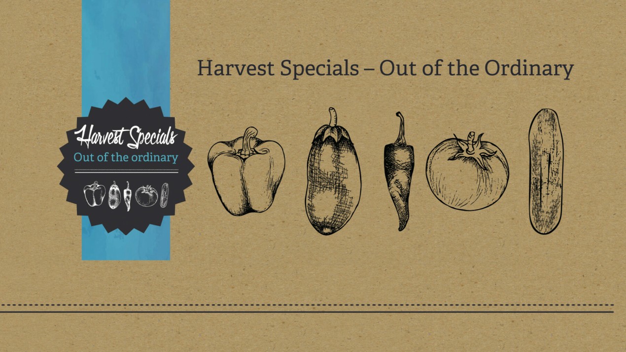 Harvest Specials