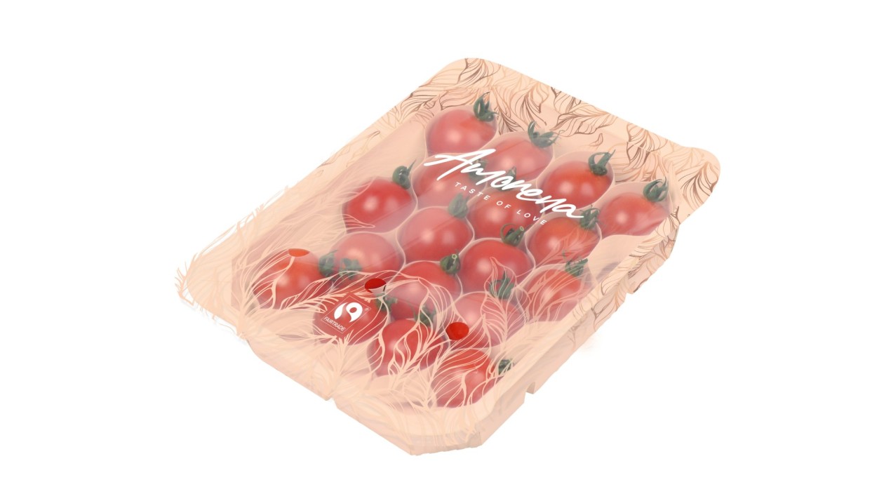 Amorena Harvest House