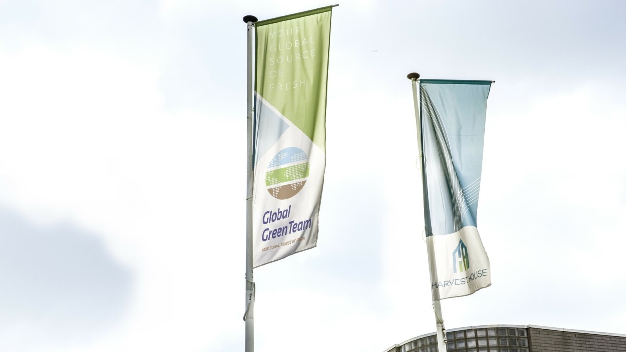 Werken bij Global Green Team