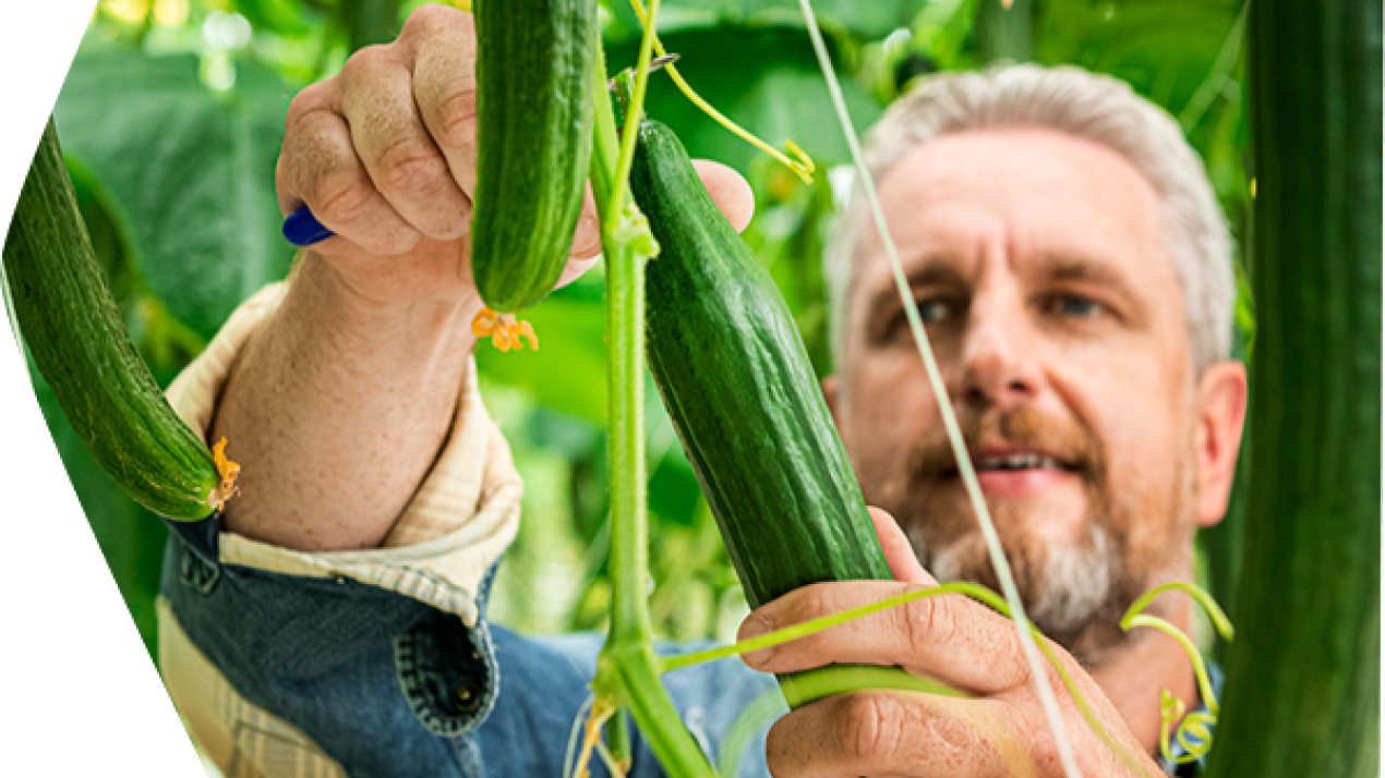 Our story around crop protection
