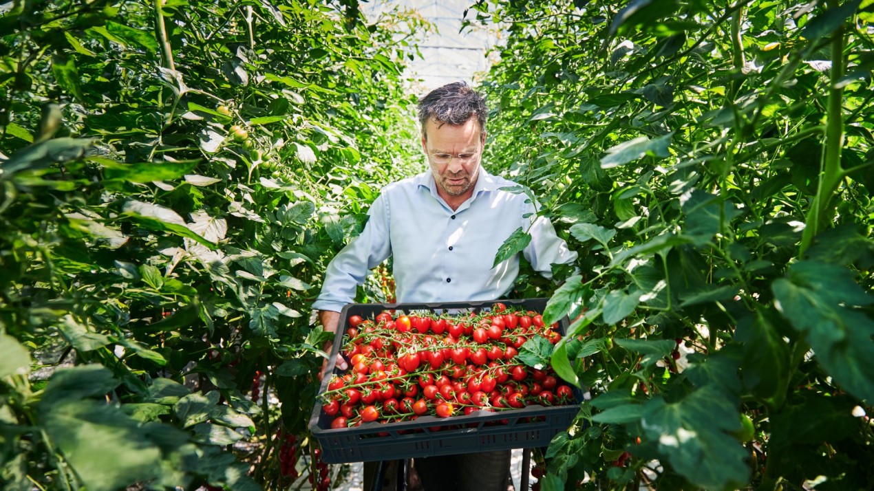 Samen bouwen we aan een duurzame teelt