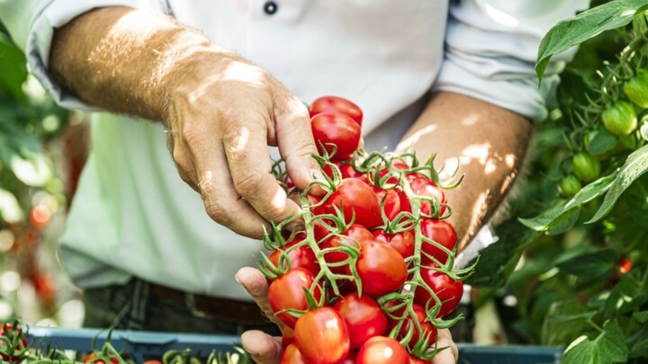 FreshProducePEFCR