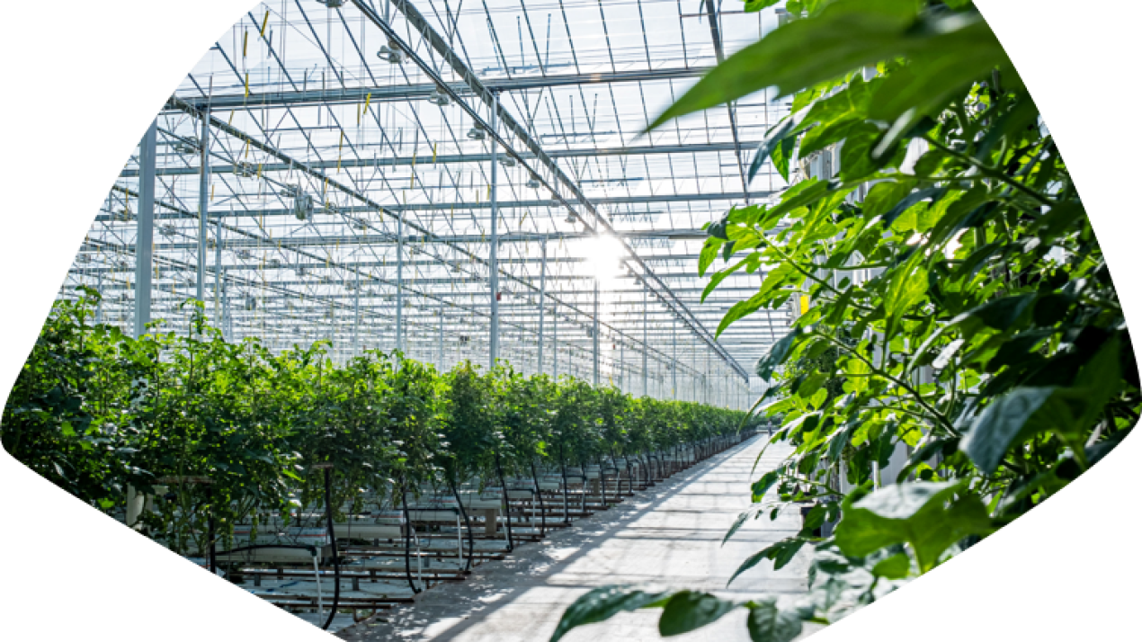 We measure our environmental impact