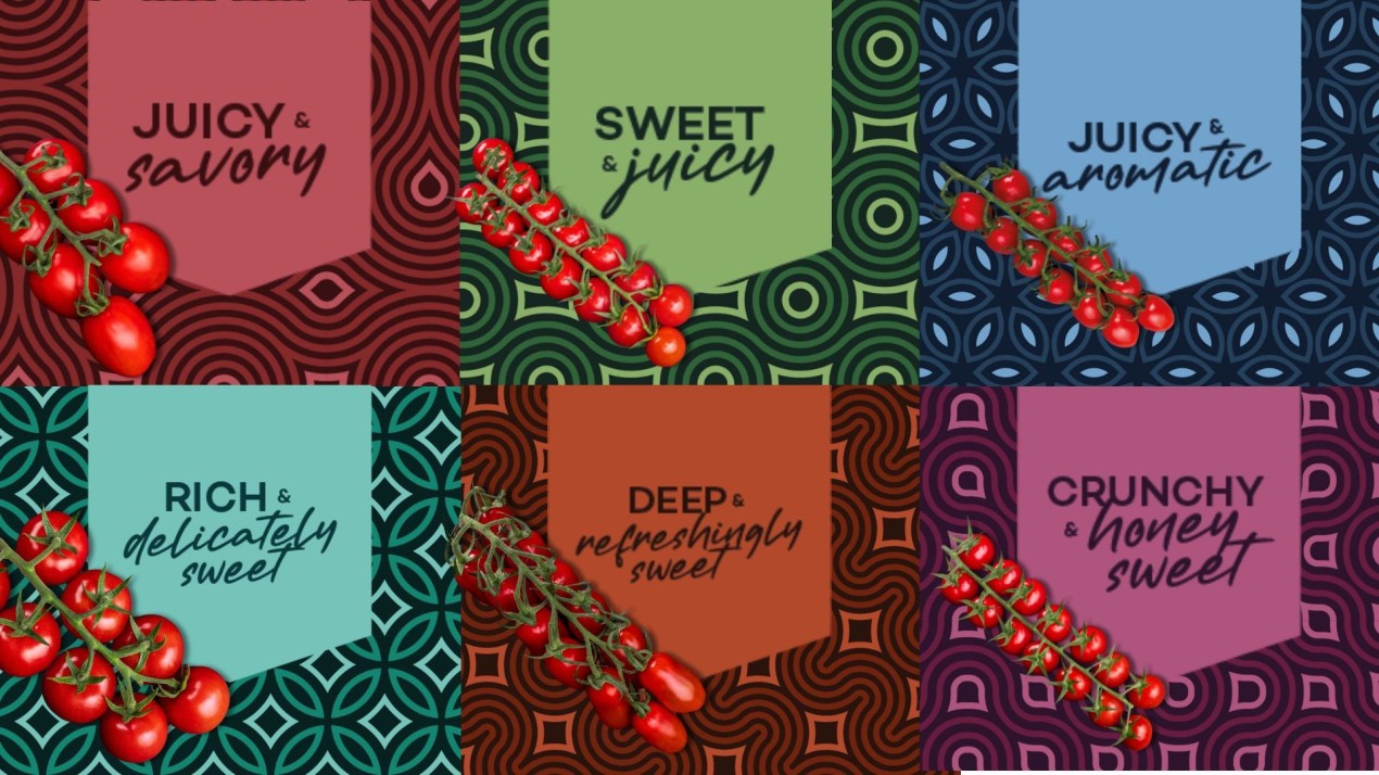 Ontdek onze Pearls of Taste