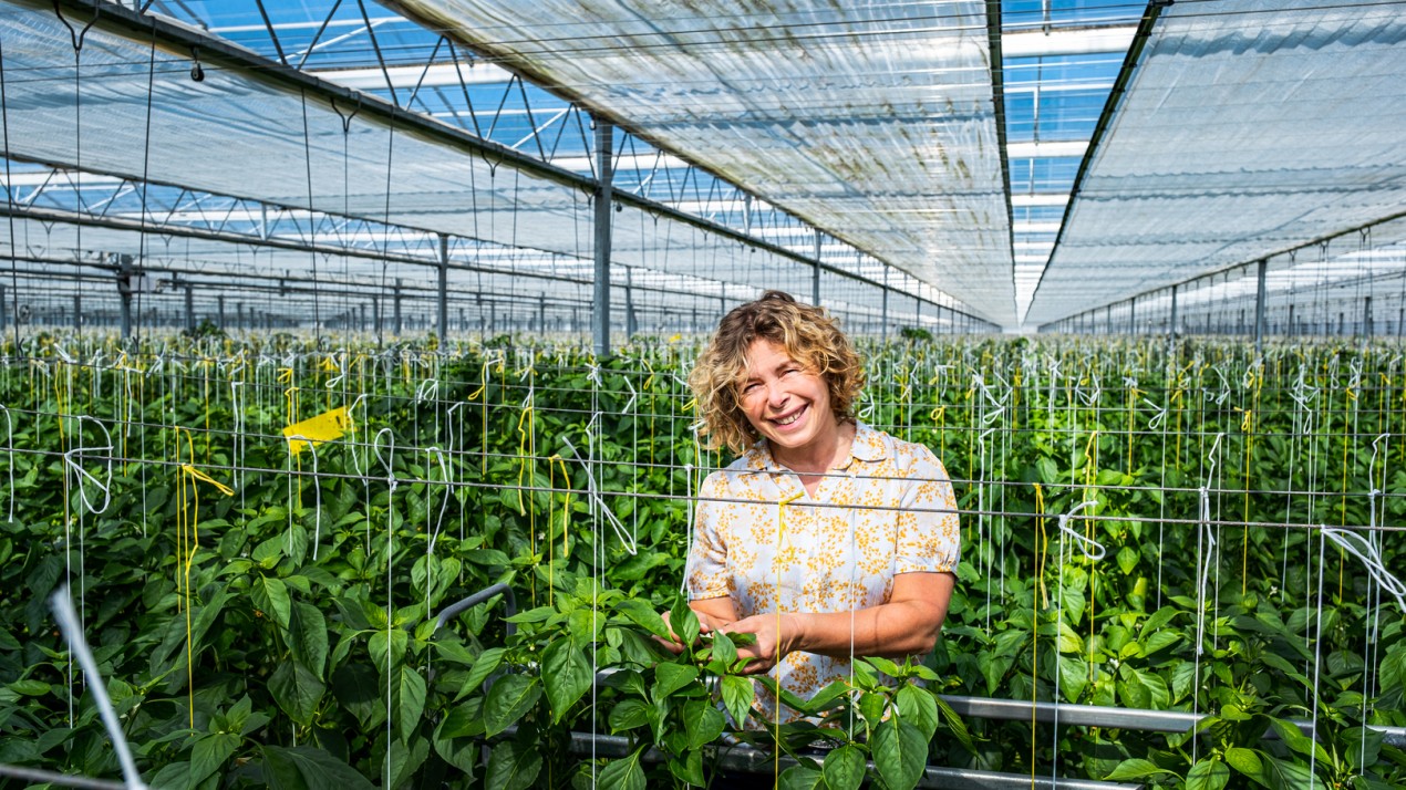 Ruimte voor biodiversiteit