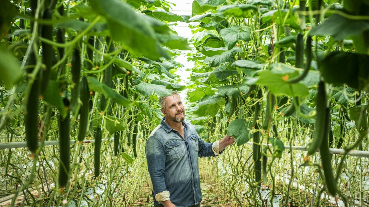 Onze toekomstdromen