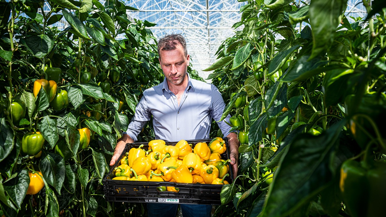 Wij zijn harvest house, de bron van een gezond leven.