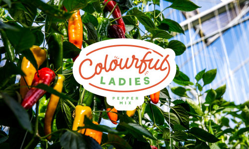 Colourful Ladies logo