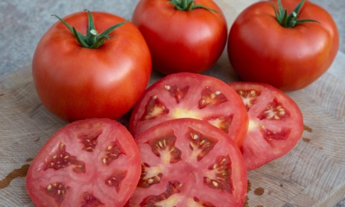 Les Tomates du Mont Saint-Michel  logo