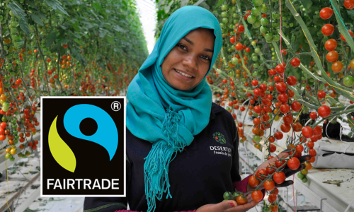 Fairtrade tomatoes logo