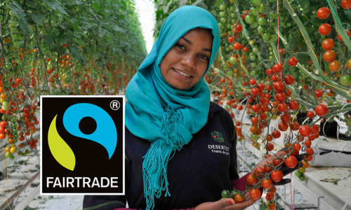 Fairtrade Tomaten logo