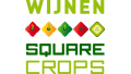 Wijnen Square Crops