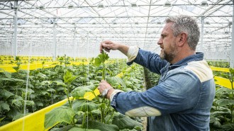 Harvest House committeert zich aan wetenschappelijk onderbouwde klimaatdoelen