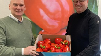 Harvest House veilt eerste rode paprika voor het goede doel