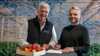 Nieuwe stap in ketenoptimalisatie met AI