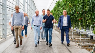 Staatssecretaris onder indruk van glastuinbouw