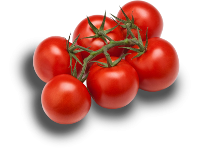 Bio Vine tomatoes