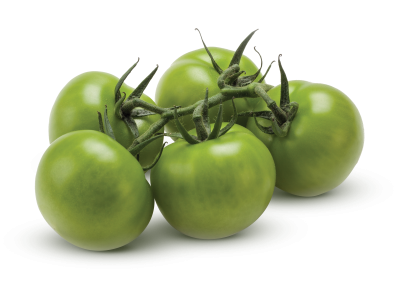 Green vine tomatoes