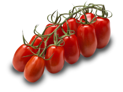 Mini San Marzano vine tomatoes