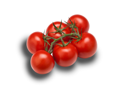 Medium Vine tomatoes