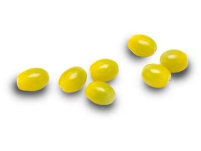 Yellow snacktomatoes