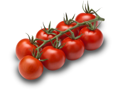 Cocktail vine tomatoes BIO