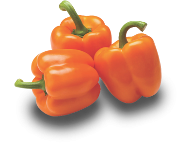 Orange bell pepper BIO