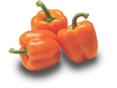 Orange bell pepper