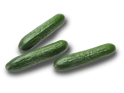 Mini komkommer