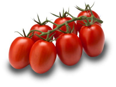 Cocktail plum vine tomatoes