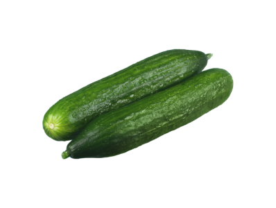Midi-Gurke BIO