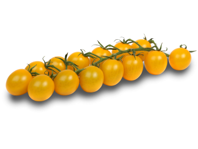 Gelbe mini cherry-Rispentomaten