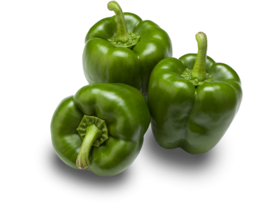 Green bell pepper BIO
