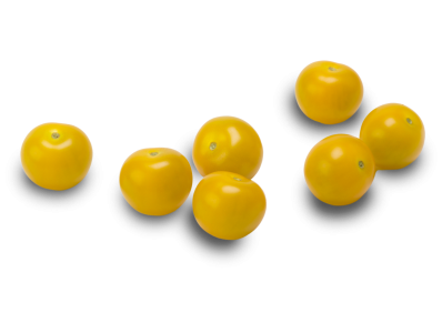 Yellow cherry tomatoes