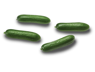 Snack cucumber