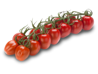 Cherry plum vine tomatoes