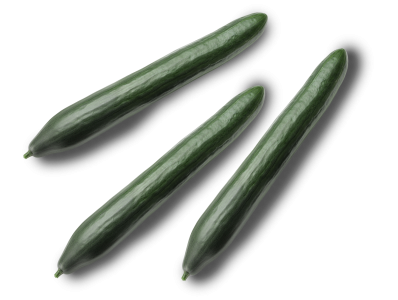 Cucumber BIO