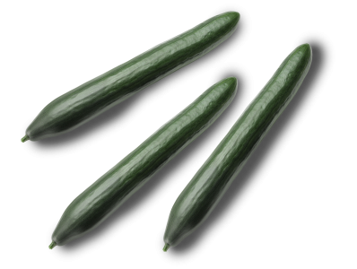 Cucumber