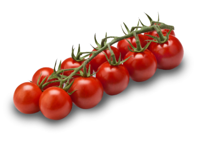 Cherry vine tomatoes